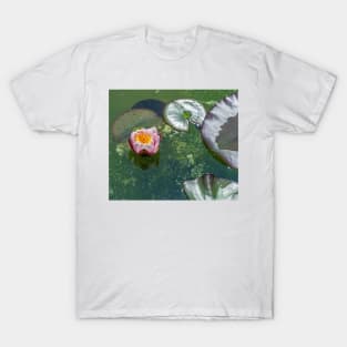 White and pink waterlily T-Shirt